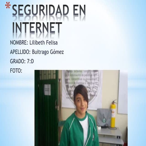 Seguridad en internet
