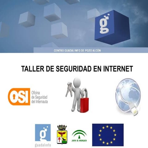 Seguridad en internet