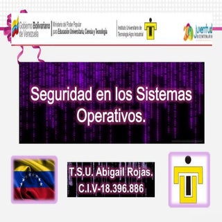 Seguridad en los sistemas operativos.