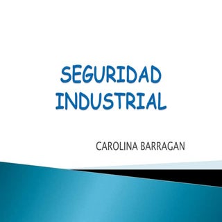 Seguridad industrial