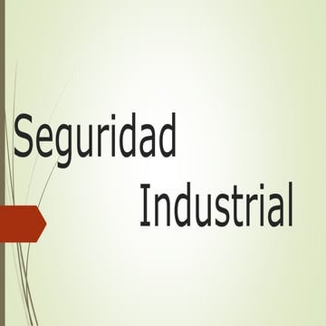Seguridad industrial