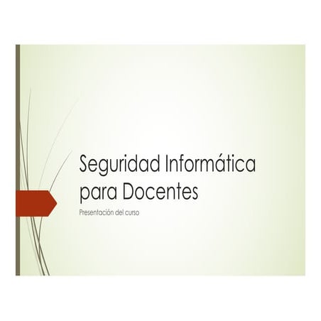 Seguridad informatica para docentes