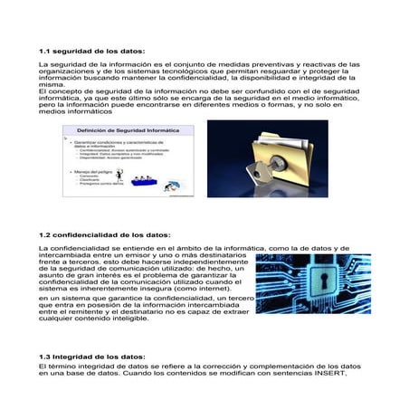 Seguridad informatica pdf