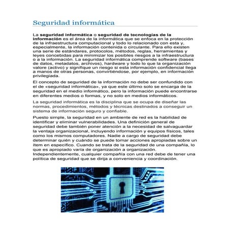 Seguridad informática  nevi castillo