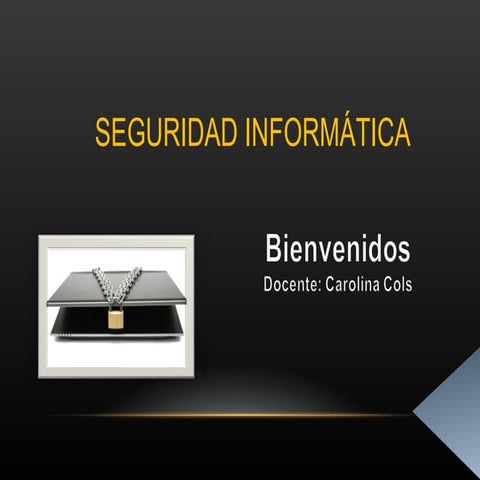 Seguridad informática introduccion