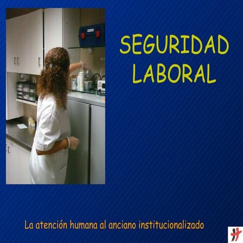 Seguridad laboral