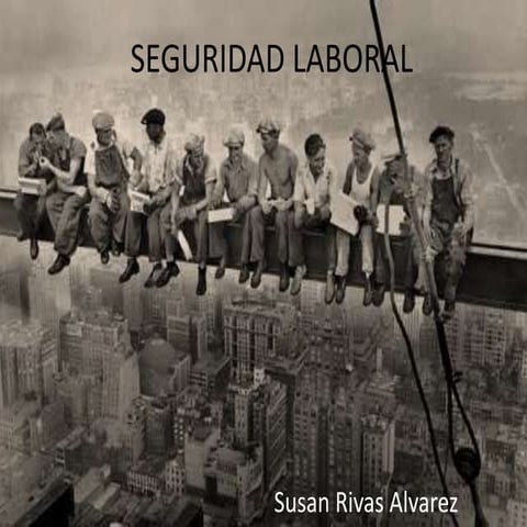 Seguridad laboral