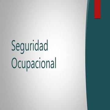 Seguridad ocupacional2