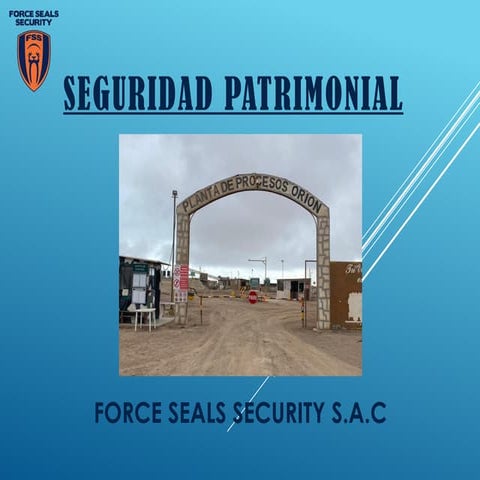 PRESENTACION SEGURIDAD PATRIMONIAL 2022.pptx