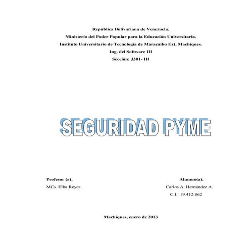 Seguridad pymes
