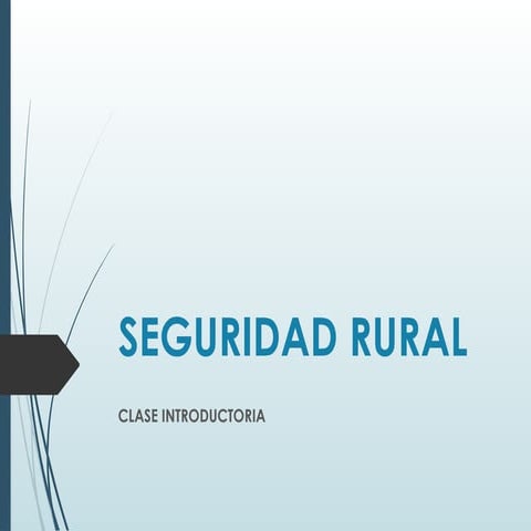 SEGURIDAD RURAL CLASE 1 Tecnicatura Universitaria en Seguridad Ciudadana.pptx
