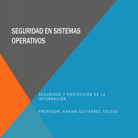 Seguridad so
