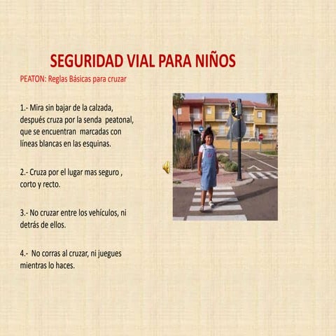 Seguridad vial para niños