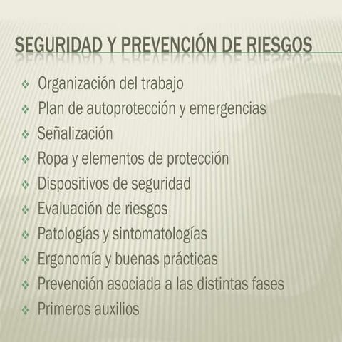 seguridadysalud-130131042447-phpapp02 2.pdf