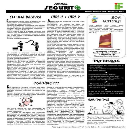Segurito 107 (ppra e pcmso) | PDF