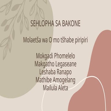 SEHLOPHA SA BAKONE. Molaetsa wa padikopna ya "Omo tshabe piripiri'.