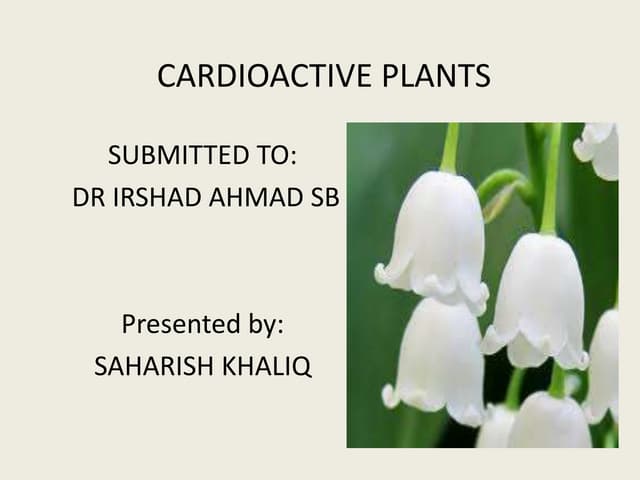 Cardioactive Glycosides