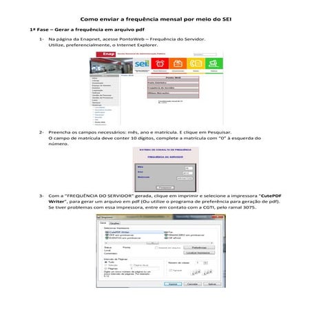 SEI | ENAP | Envio de Frequência Mensal