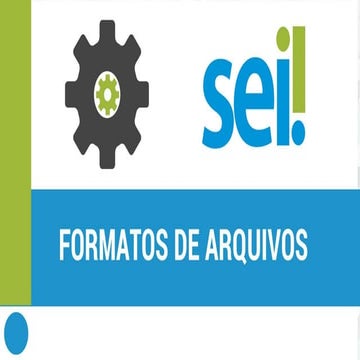 SEI | Formatos de arquivos