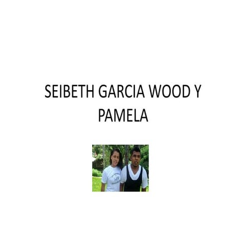 Seibeth garcia wood y pamela
