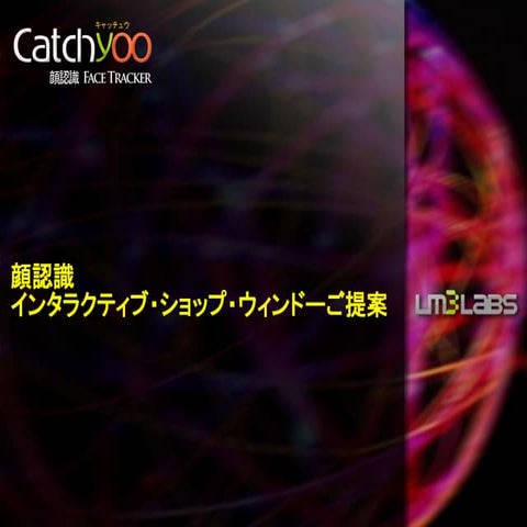 Face Tracking Shop Windows