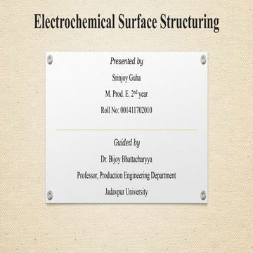 Seminar on Electrochemical Surface Structuring
