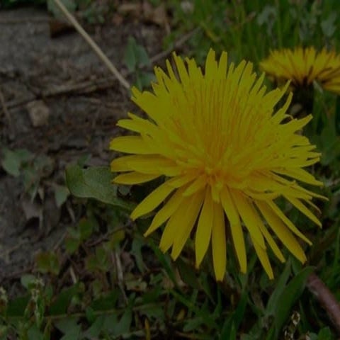 静的解析、しましょうか。