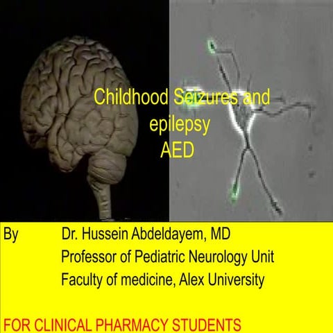 Seizures and epilepsy FOR clinical pharmacy student