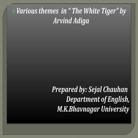 The White Tiger Themes