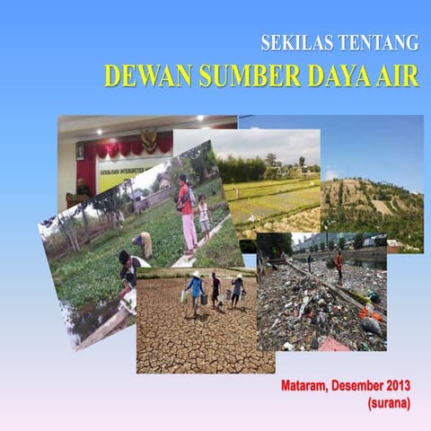 DEWAN Sumber Daya Air (info sekilas)