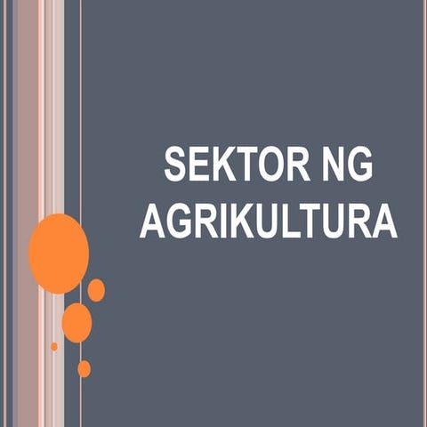 Sektor ng Agrikultura