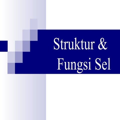 Struktur sel | PPT