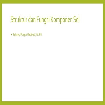 SEL.pptx