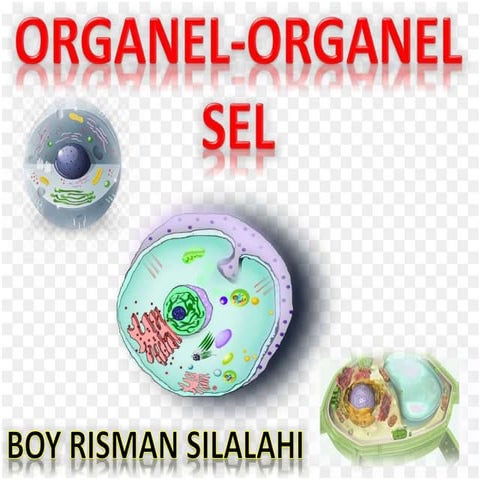 Sel ---organel-organel sel | PPTX