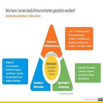 Selbstbestimmungstheorie / menschliche Motivation im Lernkontext