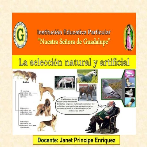 Selección natural y artificial