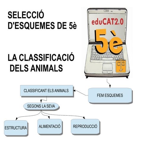 Seleccioesquemes