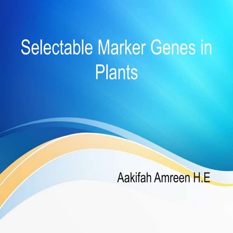 Selectable marker genes