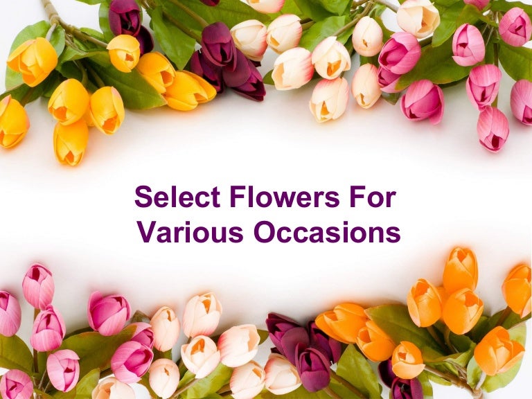 Select flowers for various occasions