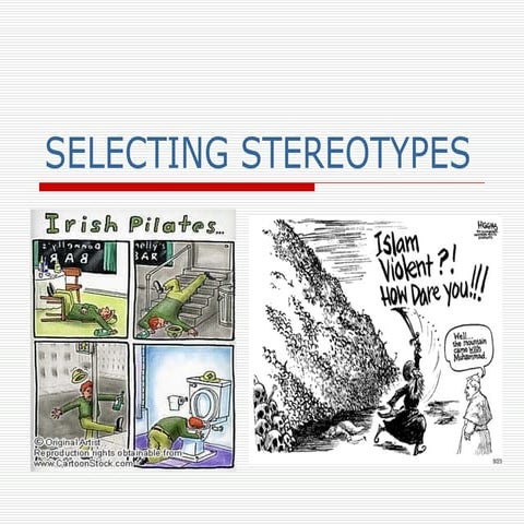 Selected to Stereotype - Donelan