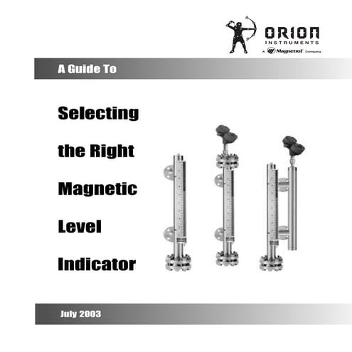 Selecting the Right Magnetic Level Indicator (MLI)