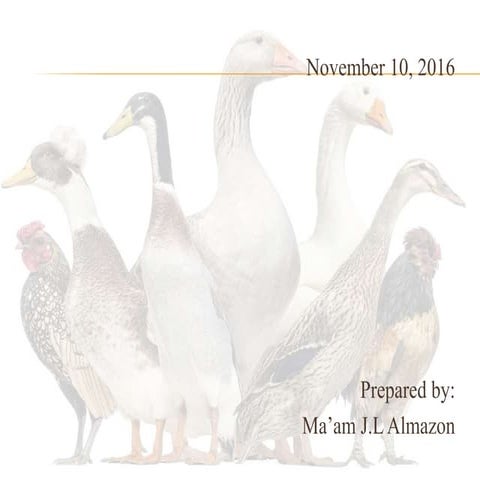 Selecting and preparing poultry