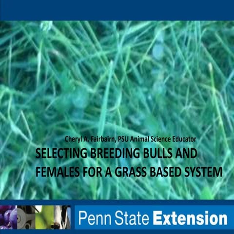Selecting bulls and replacement females