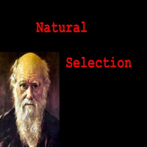 Selection online-truncated