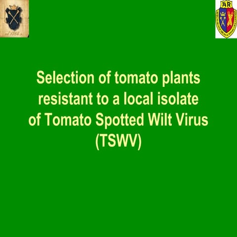 Selection of tomato plants resistant to a local TSWV strain