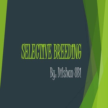 Selective Breeding