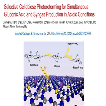 Selective Cellobiose Photoreforming for Simultaneous Gluconic Acid and Syngas...