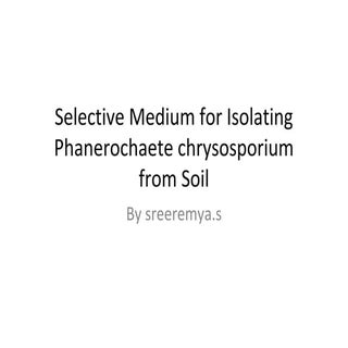 Selective medium for isolating phan...