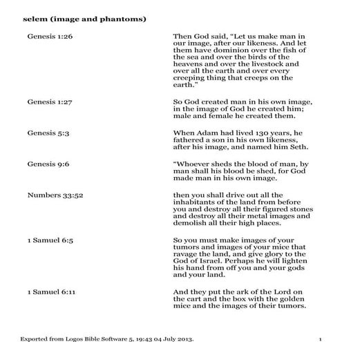 Selem image and_phantoms