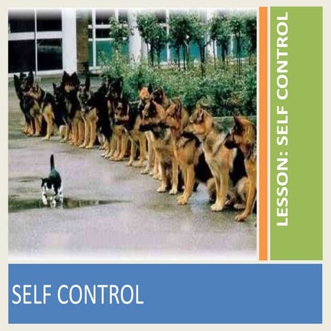 LESSON: SELF DISCIPLINE